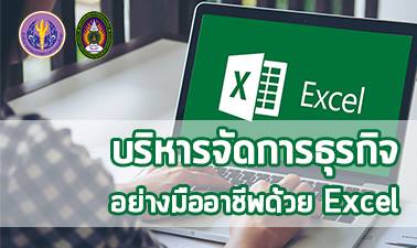 บริหารจัดการธุรกิจอย่างมืออาชีพด้วย Excel (Business Management Professional using Excel) 00391