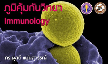 ภูมิคุ้มกันวิทยา | Immunology 00445