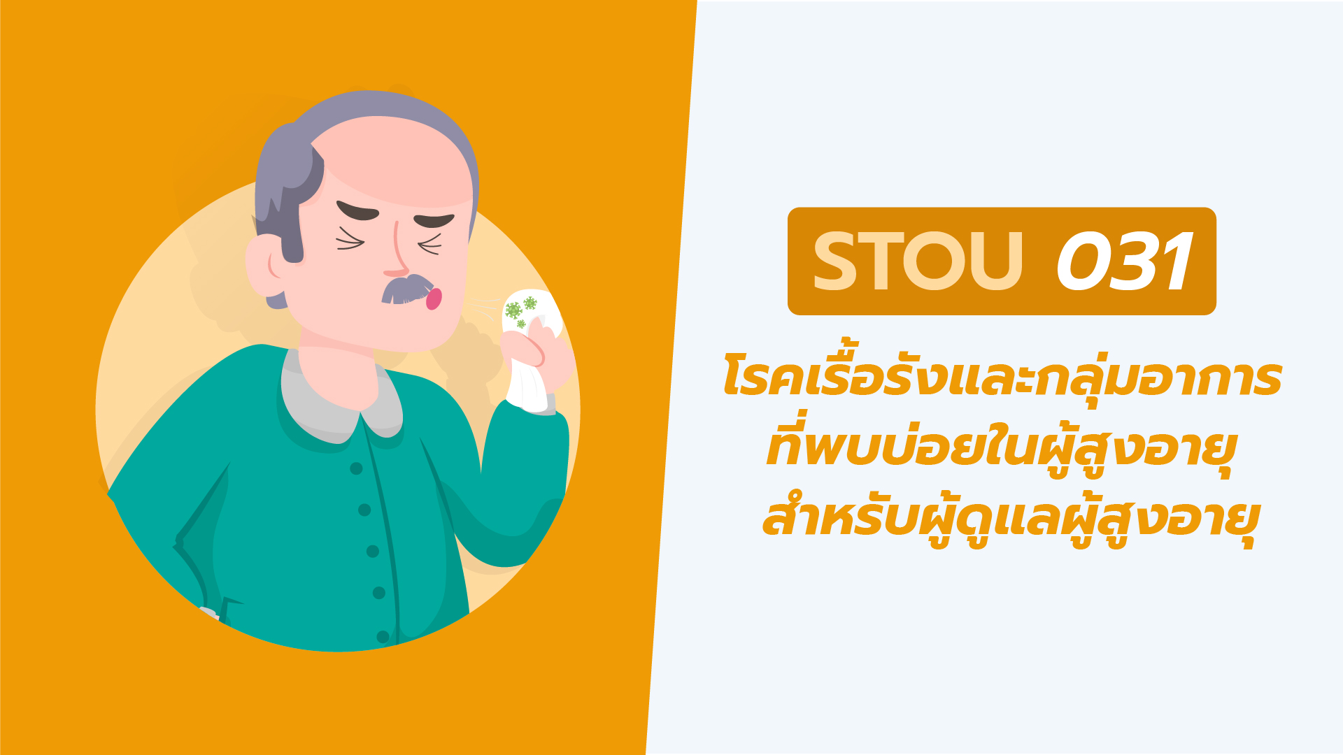 โรคเรื้อรังและกลุ่มอาการที่พบบ่อยสำหรับผู้ดูแลผู้สูงอายุ | Common Chronic Diseases and Syndromes for Elderly Caregivers 00672
